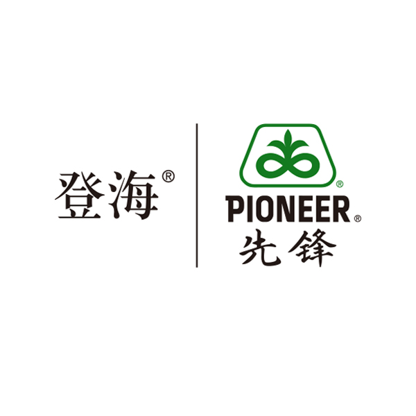 公司年报设计 - 优画成功案例